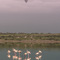 Lake Ndutu, NCA